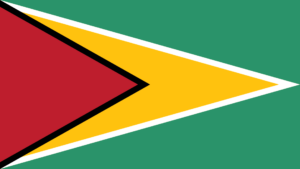 Flag of Guyana (16-9)