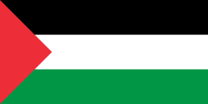 Flag of Palestine - short triangle