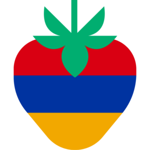 Armenia flag — Clip art · 27
