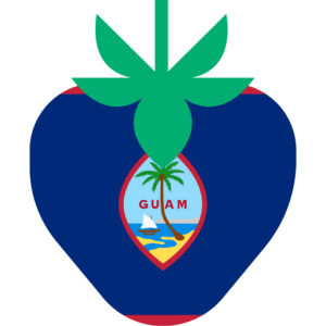 Guam flag — Clip art · 27