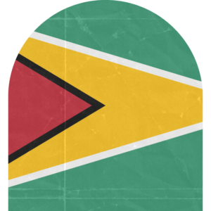 Guyana flag — Clip art · 2