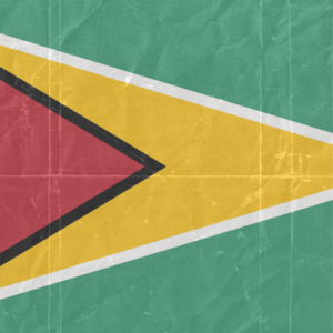 Guyana flag — Clip art · 3