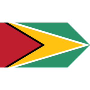 Guyana flag — Clip art · 4