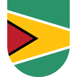Guyana flag — Clip art · 5