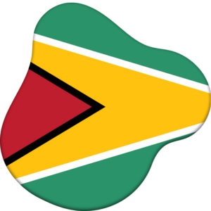 Guyana flag — Clip art · 6