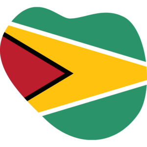 Guyana flag — Clip art · 7
