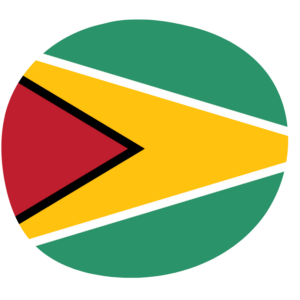 Guyana flag — Clip art · 8