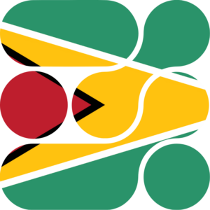 Guyana flag — Clip art · 9