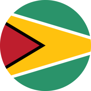 Guyana flag — Clip art · 12
