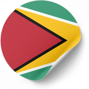Guyana flag — Clip art · 11