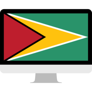 Guyana flag — Clip art · 14