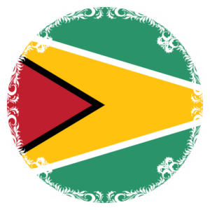 Guyana flag — Clip art · 15