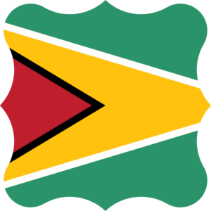 Guyana flag — Clip art · 16