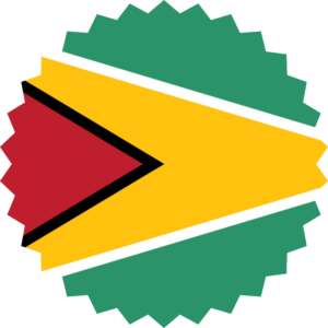 Guyana flag — Clip art · 17