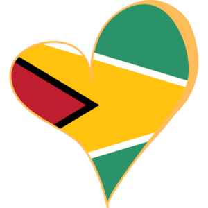 Guyana flag — Clip art · 18