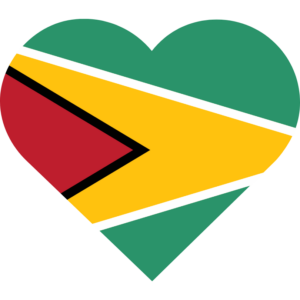 Guyana flag — Clip art · 19