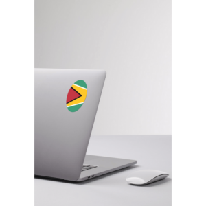 Guyana flag — Clip art · 20