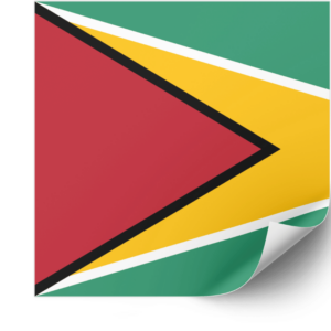 Guyana flag — Clip art · 23
