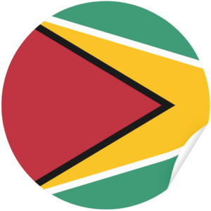 Guyana flag — Clip art · 21