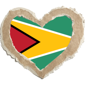 Guyana flag — Clip art · 22