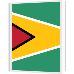 Guyana flag — Clip art · 24