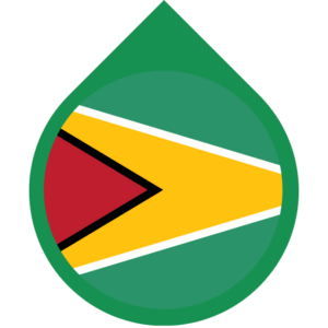 Guyana flag — Clip art · 25