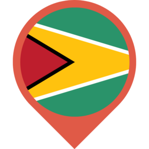 Guyana flag — Clip art · 26