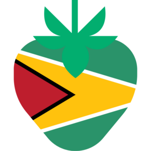 Guyana flag — Clip art · 27