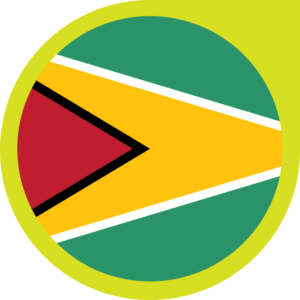 Guyana flag — Clip art · 28