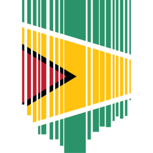 Guyana flag — Clip art · 29