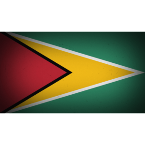 Guyana flag — Clip art · 30
