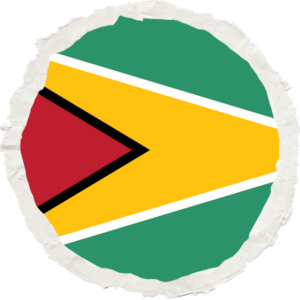 Guyana flag — Clip art · 31