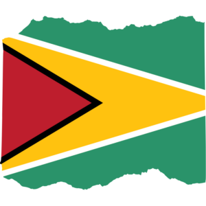 Guyana flag — Clip art · 32