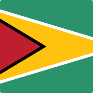 Guyana flag — Clip art · 33