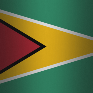 Guyana flag — Clip art · 34