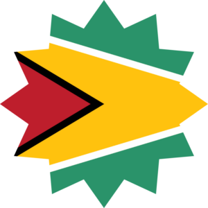 Guyana flag — Clip art · 35