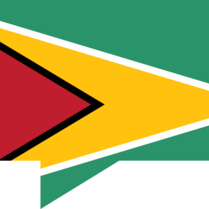 Guyana flag — Clip art · 36