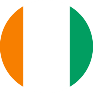 Côte d’Ivoire flag — Clip art · 13