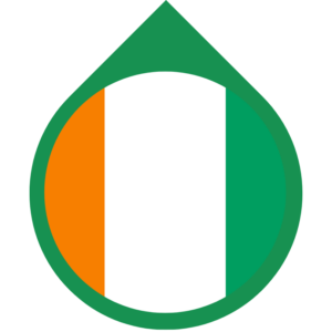 Côte d’Ivoire flag — Clip art · 26