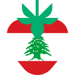 Lebanon flag — Clip art · 27