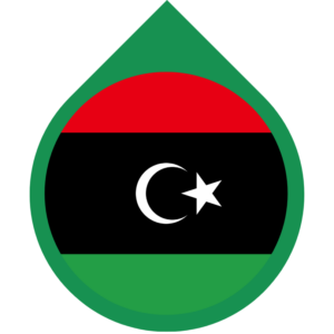 Libya flag — Clip art · 25