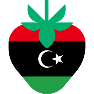 Libya flag — Clip art · 27