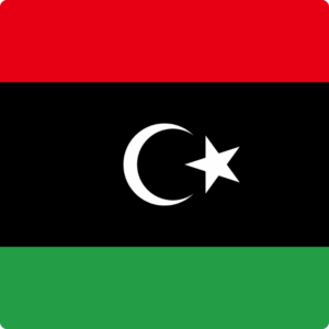 Libya flag — Clip art · 33