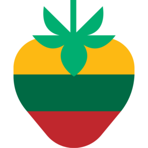 Lithuania flag — Clip art · 27
