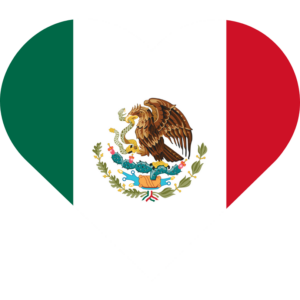 Mexico flag — Clip art · 9