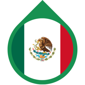 Mexico flag — Clip art · 8