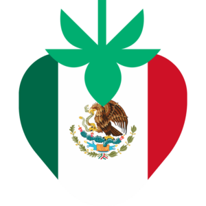 Mexico flag — Clip art · 13