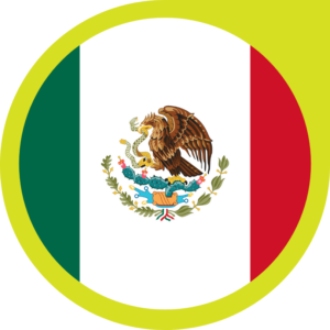 Mexico flag — Clip art · 15