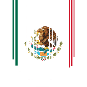 Mexico flag — Clip art · 18