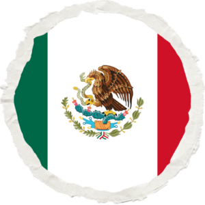 Mexico flag — Clip art · 7